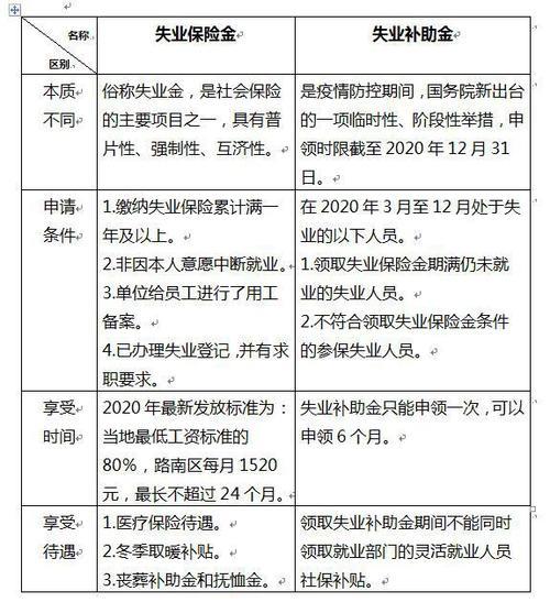 失业保险金领取期限详解，你能领几个月？