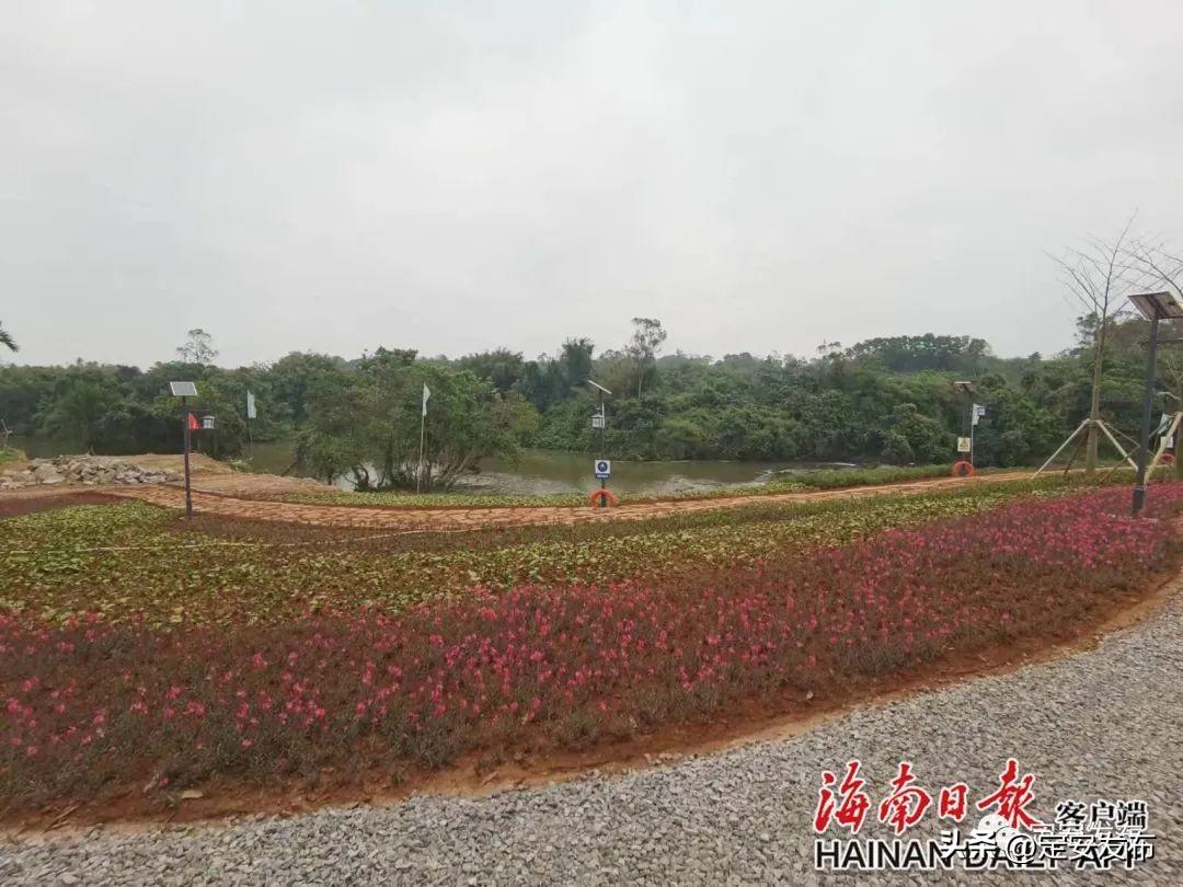 江苏南水科技成功中标，科技创新引领未来水务市场的新篇章