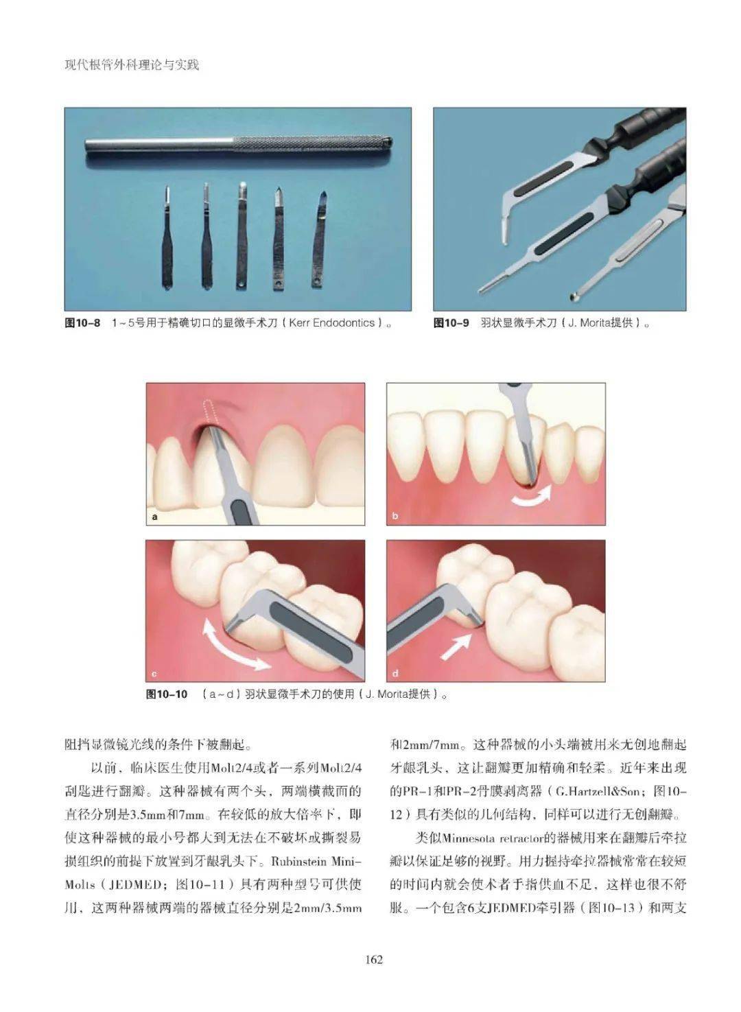 广东省口腔根管治疗技术，前沿知识与临床实践