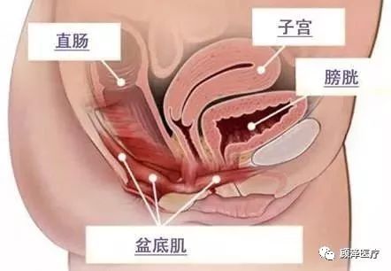 孕六个月站着阴部坠涨，原因、影响与管理