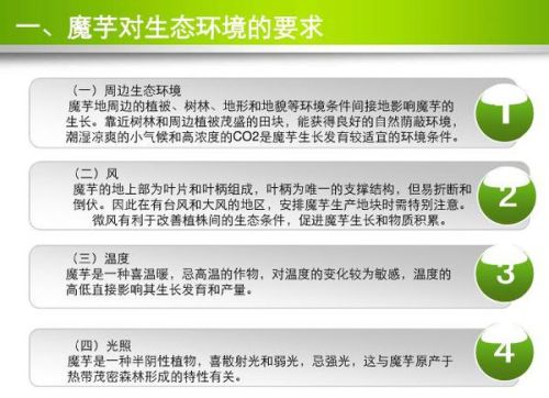 广东省餐饮防疫分级标准，构建安全餐饮环境的新篇章