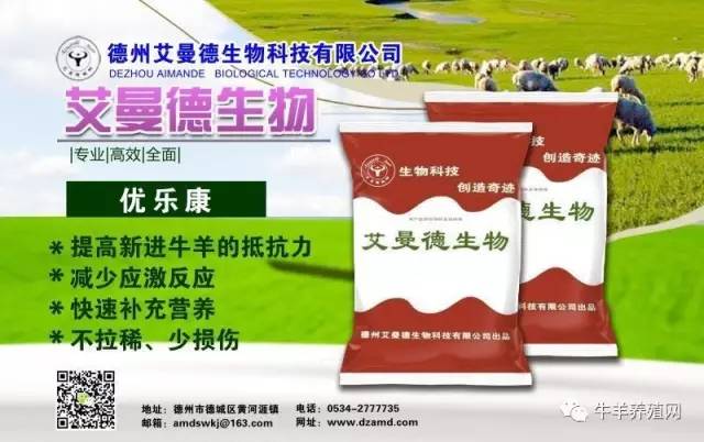 广东预混料有限公司，引领饲料预混行业的先锋