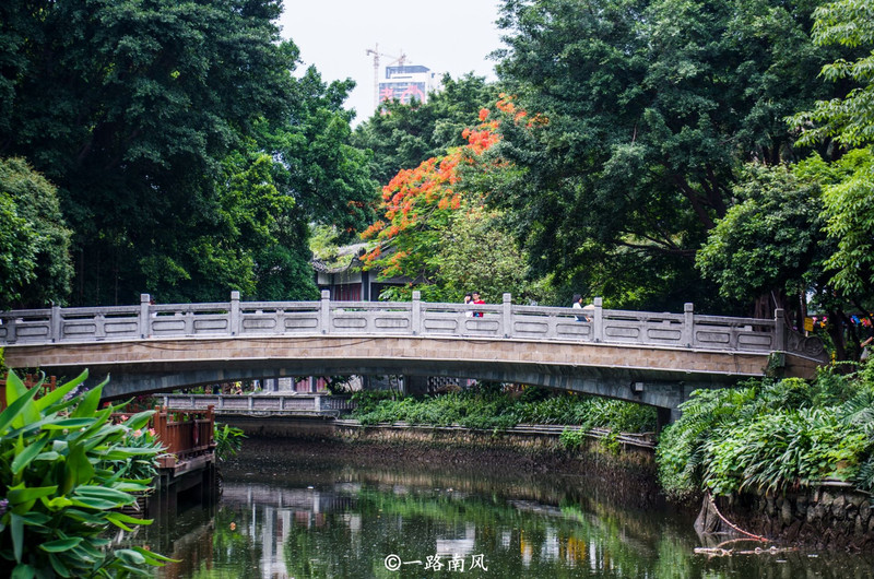 广东省妇幼与师小径，一道独特的风景线